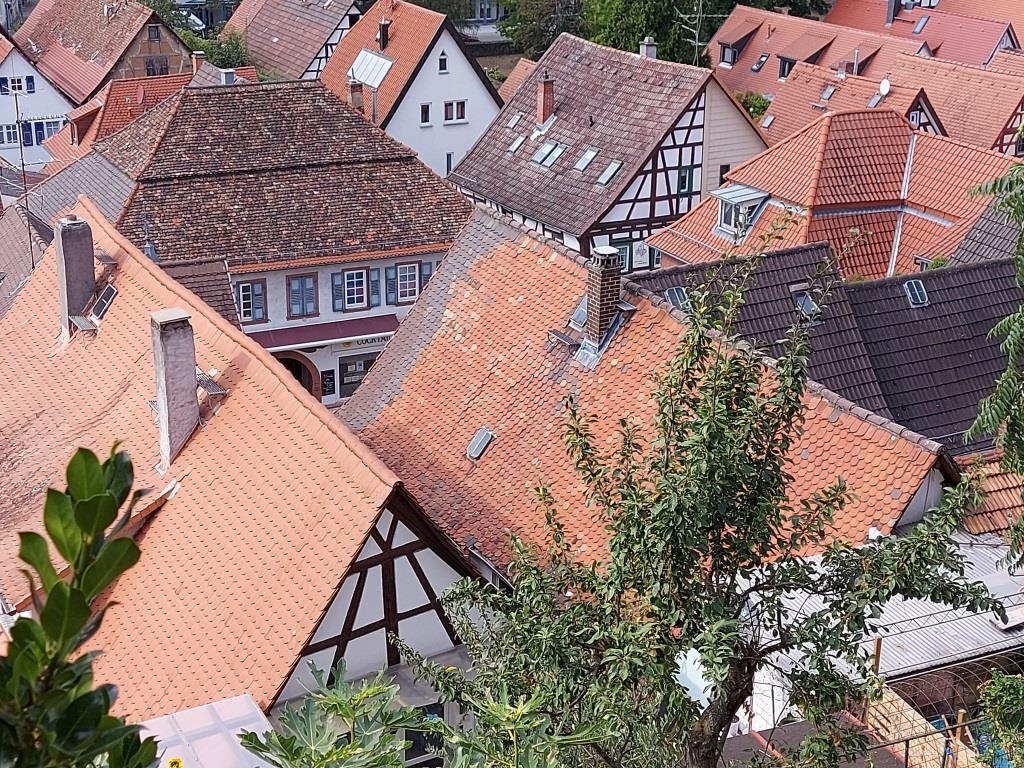 Zwingenberg - 2020